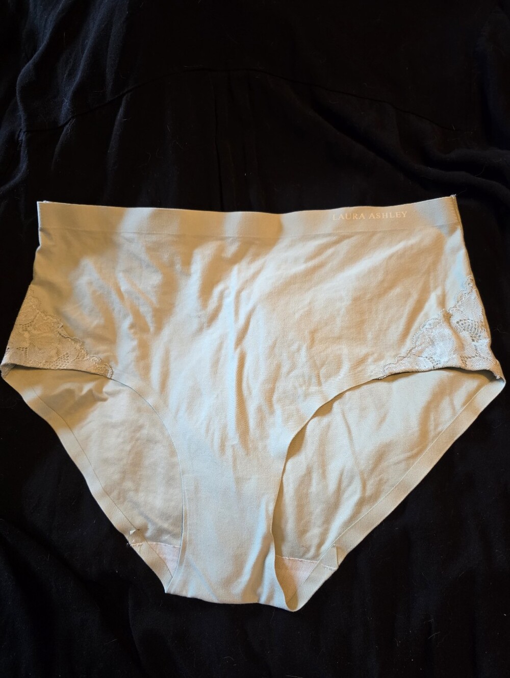 Laura Ashley Panties Size Large NWOT